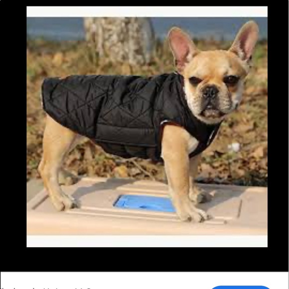 Dogs Jackets Reversible Waterproof Coats (Xs,L,) - Picture 2 of 8